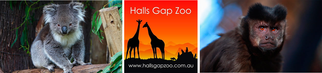 Halls Gap Zoo | Open Hours & Tickets
