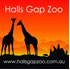 Halls Gap Zoo