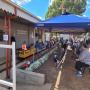 Hamilton Miniature Railway | Runs