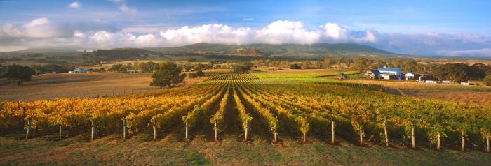 Hanging Rock Winery & Vineyard