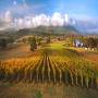 Hanging Rock Winery & Vineyard