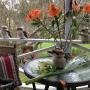 Summer Haven Cottage