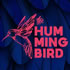 The Humming Bird