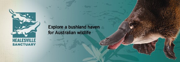 Healesville Sanctuary