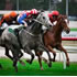 Melbourne Cup Day Guide 2025