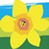 Kyneton Daffodil & Arts Festival 2025