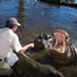 Keeper Talks at Werribee Open Range Zoo