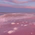 Lake Tyrrell - Sea Pink Lake