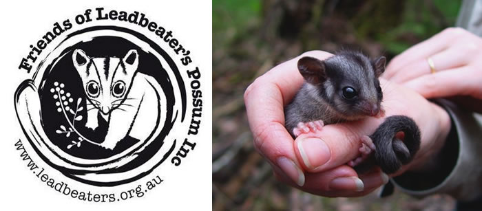 Friends of the Leadbeater's Possum Inc