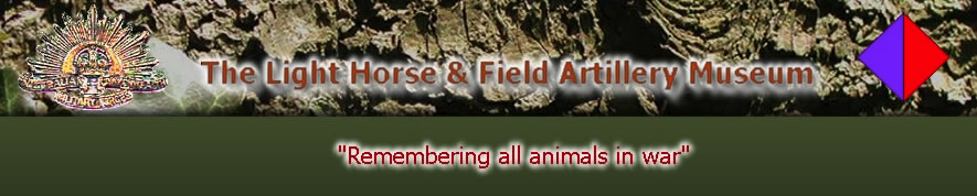 Light Horse & Field Artillery Museum