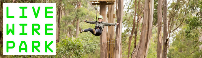 Live Wire Park