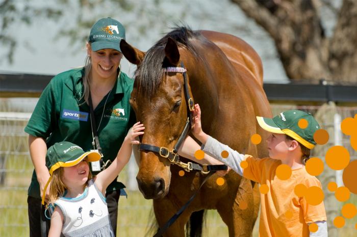 Living Legends | Champion Horse Rest Home