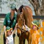 Living Legends | Champion Horse Rest Home