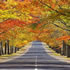 Mount Macedon
