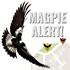 MagpieAlert