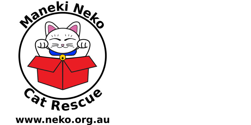 Neko HQ | Cat Lounge