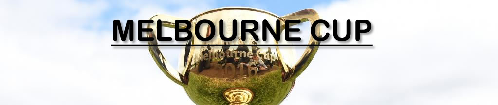WINNER 2008 Melbourne Cup - VIEWED (10)