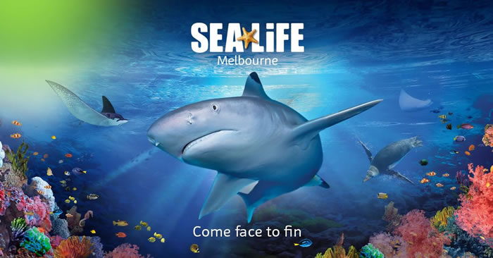 Sea Life Melbourne Aquarium | Open & Tickets