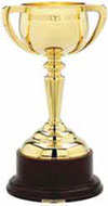 WINNER 2020 Melbourne Cup - TWILIGHT PAYMENT (12)