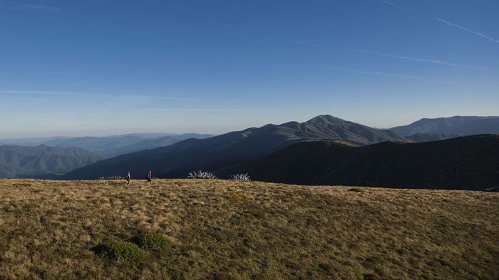 Mount Feathertop