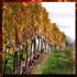 Macedon Ranges