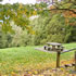 Mount Dandenong Arboretum