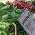 Mulgrave Farmers' Market