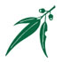 National Trust of Australia (Victoria)