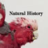 Natural History Bar and Grill