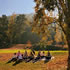 Great Picnic Sites in Melbourne