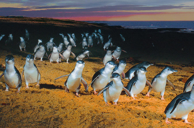 Discover Australia: A Family-friendly 10-Day Itinerary