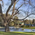 Princes Park
