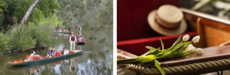 Punting on the Lake - Royal Botanic Gardens