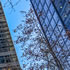 RACV City Club