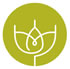 Royal Agricultural Society of Victoria