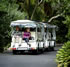Royal Botanic Gardens: Minibus Tour