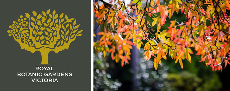 Royal Botanic Gardens | Cranbourne