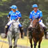 Red Gum Run Arena Polo
