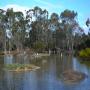 Serendip Sanctuary