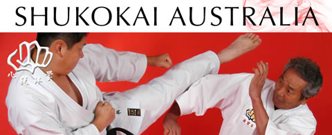 Shukokai Karate | Samurai Karate Lessons