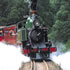 Train Rides For (Big & Little) Kids