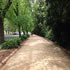 Tan Track