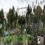 Veg Out Community Gardens
