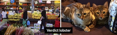 Verdict Lobster