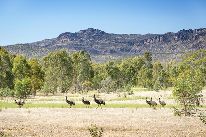 Victorian Wildlife Hotspots