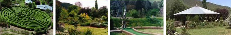 Wandiligong Maze Wandiligong Maze
