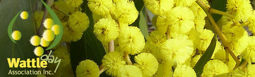 National Wattle Day 2025 National Wattle Day 2025