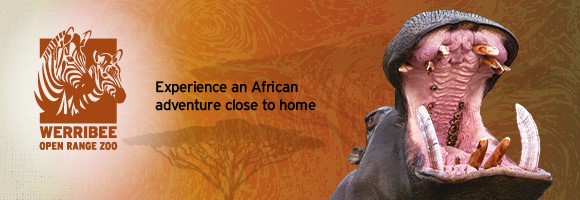 Werribee Open Range Zoo | Open Hours & Tickets Werribee Open Range Zoo | Open Hours & Tickets
