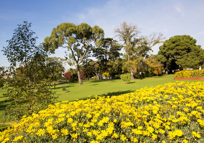 Yarraville Gardens