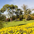 Yarraville Gardens